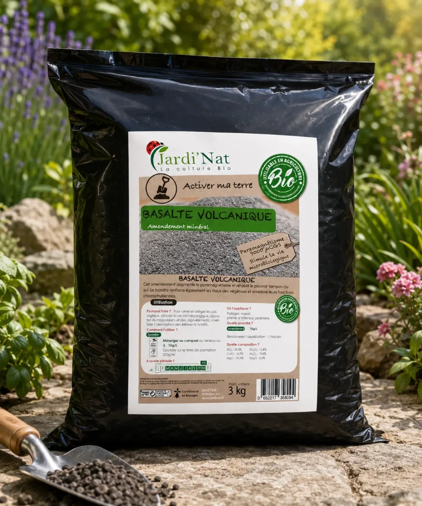 [ACTI93] Basalte Volcanique 3kg*
